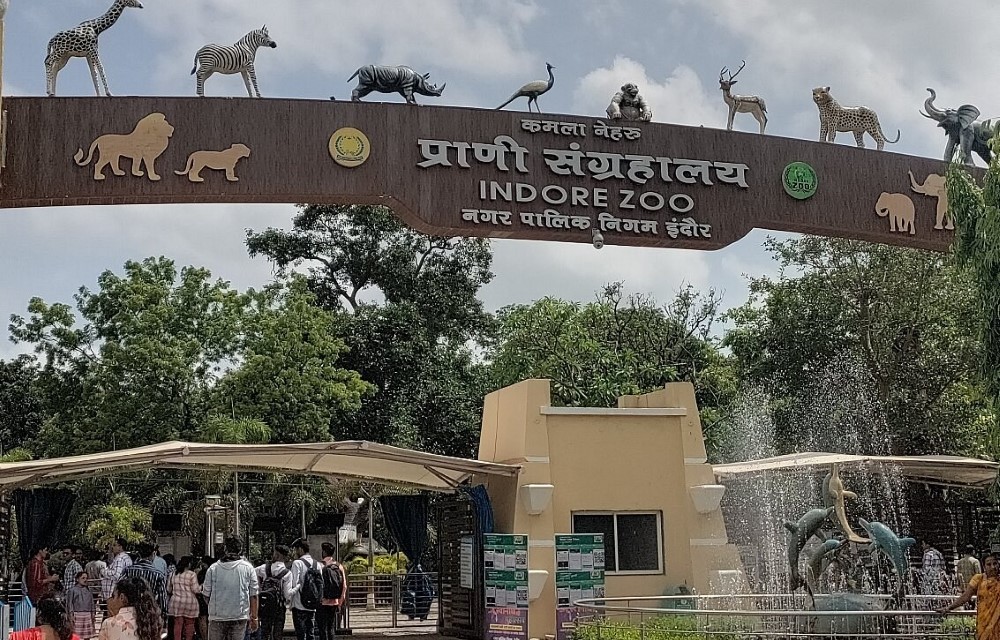 Hotel New Sunder at Zoo - 2 Km